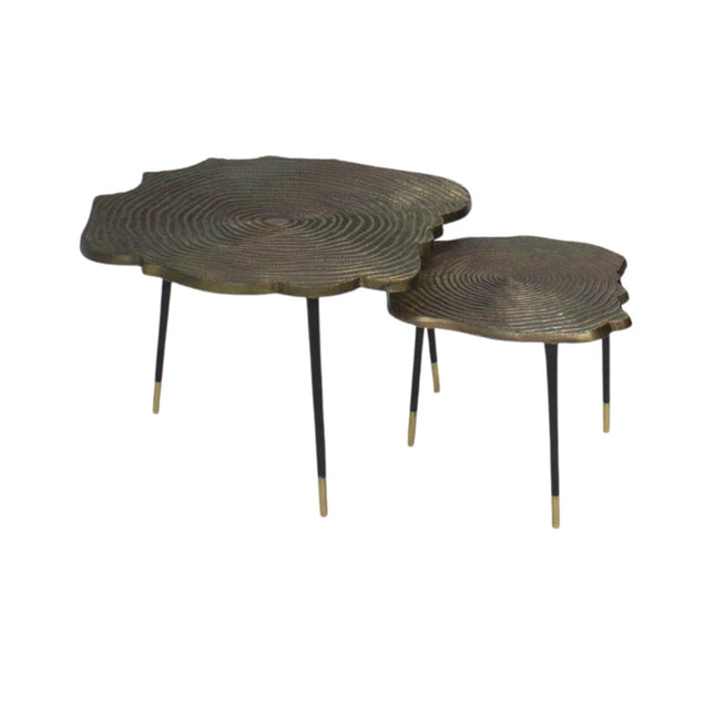 Salontafel set van 2