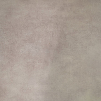 Eetkamerstoel Boston - Set van 2  - 56x68x89 - Adore 01 naturel - Velours/metaal