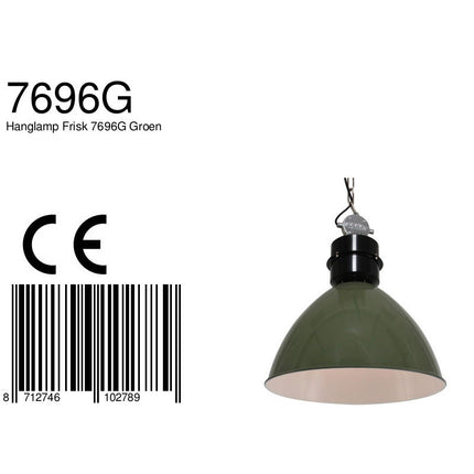 Hanglamp Frisk 7696G Groen