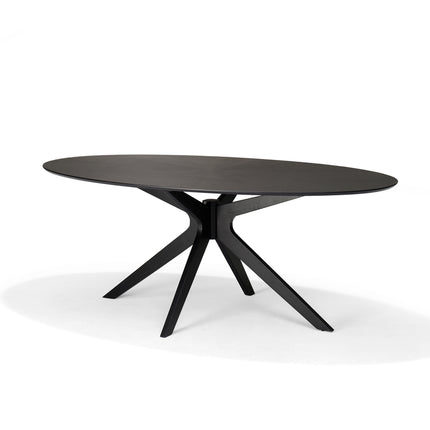 Julia 200X110 Eetkamertafel Ovaal Zwart Eiken