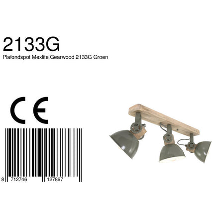 Plafondlamp Gearwood 2133G Groen