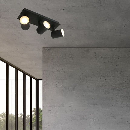 Plafondspot Points Noirs 3061ZW Zwart
