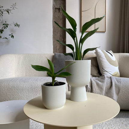Round side table set - Lucca - White/Cream