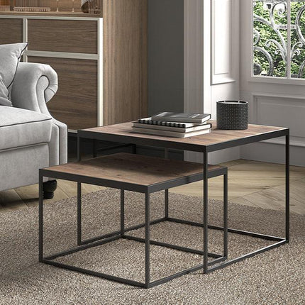 Salontafel  2-delig vierkant  Mango hout